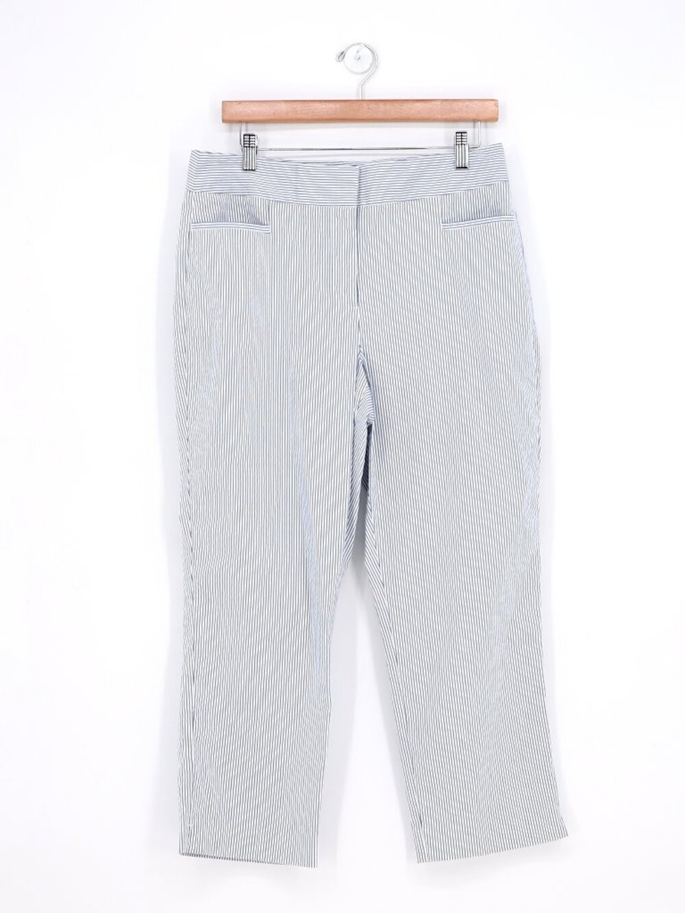 ANN TAYLOR Blue White Striped Seersucker Crop Ankle Pants Size 10